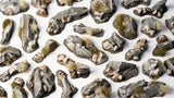 Gamers Grass Rocks Basing Bits