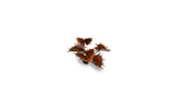 Gamers Grass Alien Flytrap Laser Plants