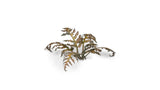 Gamers Grass Laser Plants Dry Bracken