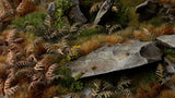 Gamers Grass Laser Plants Dry Bracken