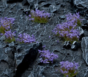 Gamers Grass Violet Flower Tufts